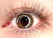 Salon de MADE Eyelash Salon Ebina 3